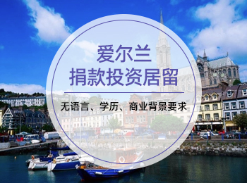 爱尔兰捐款投资居留